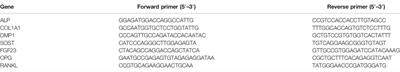 Connexin 43 Hemichannels Regulate Osteoblast to Osteocyte Differentiation